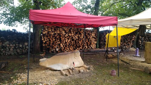 Slepice, tuleň a gepard