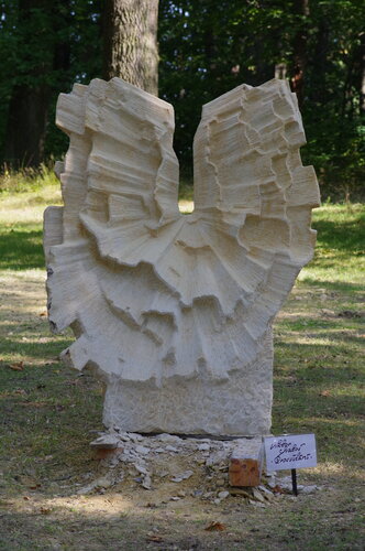 Prosvítání
